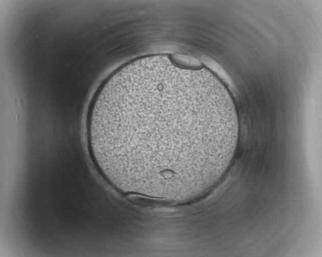 X0000101481088200807281034