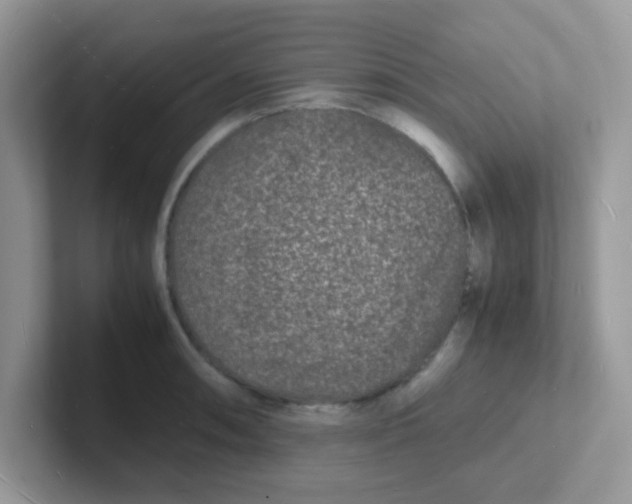 X0000101481090200807281034