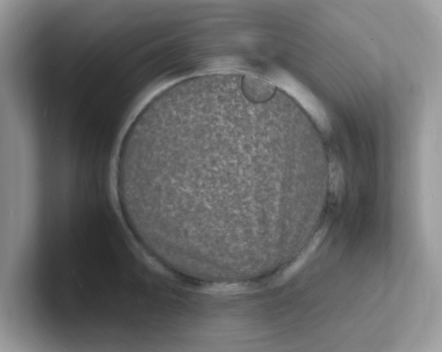 X0000101481094200807281034