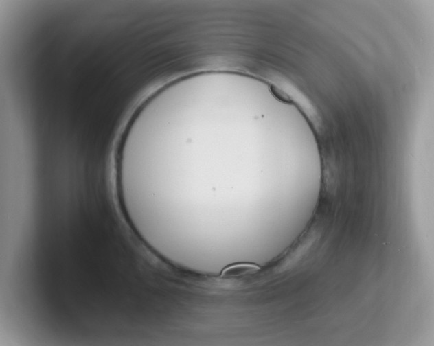 X0000101481096200807281034