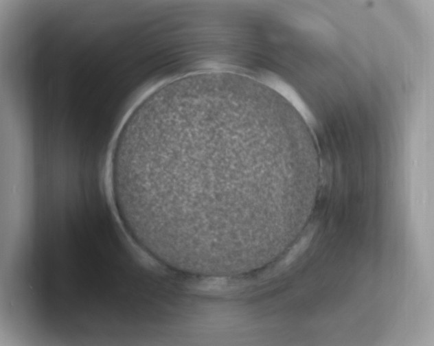 X0000101481098200807281034