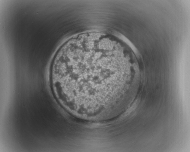 X0000101481099200807281034