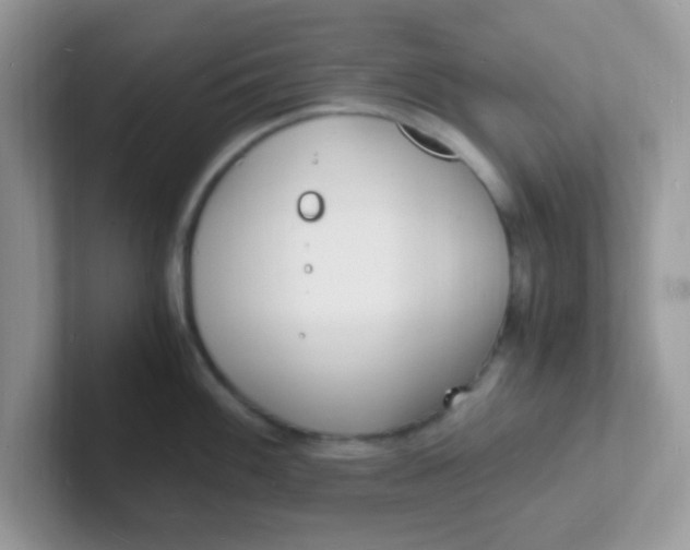 X0000101481100200807281034