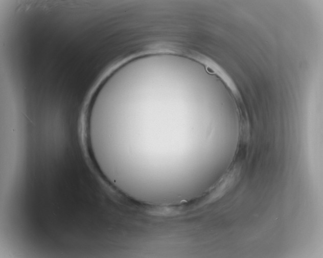 X0000101481101200807281034