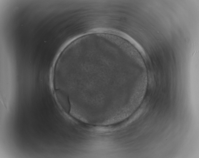 X0000101481102200807281034