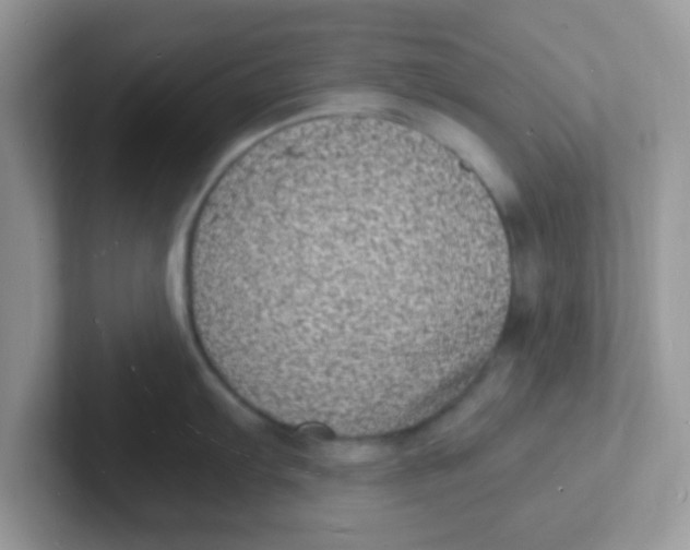 X0000101481103200807281034