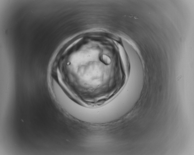 X0000101481104200807281034