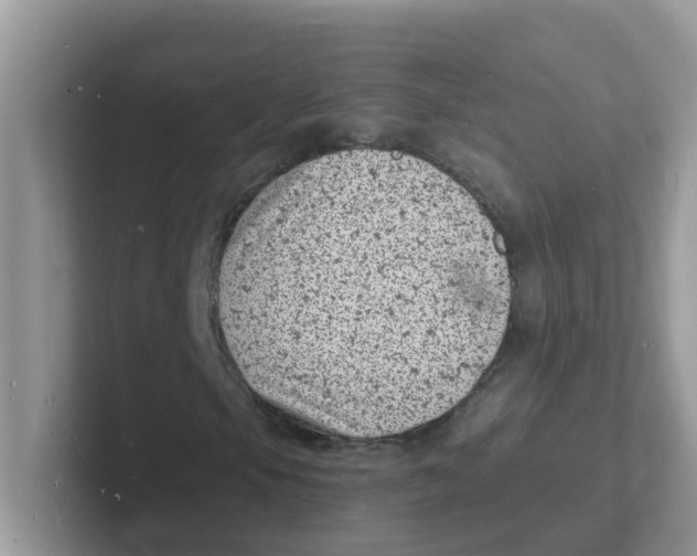 X0000101481105200807281034