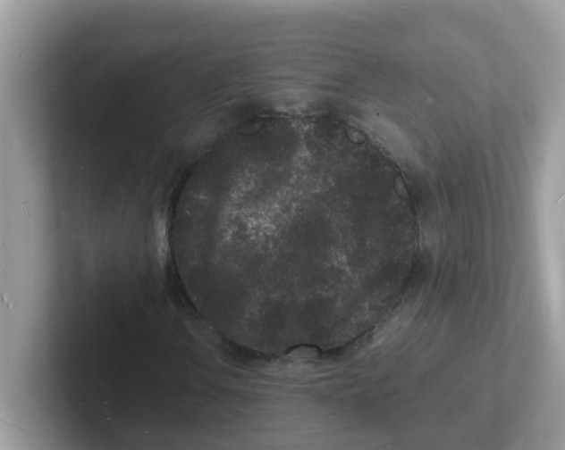 X0000101481106200807281034