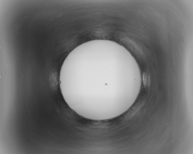 X0000101481107200807281034