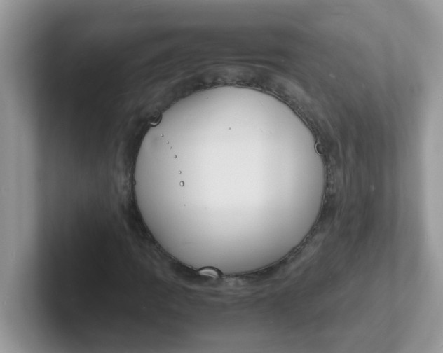 X0000101481109200807281034