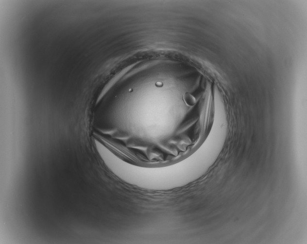 X0000101481110200807281034