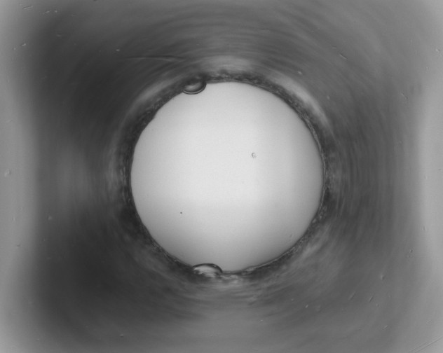 X0000101481112200807281034