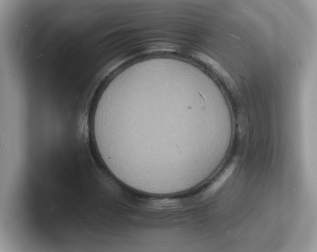 X0000101481113200807281034