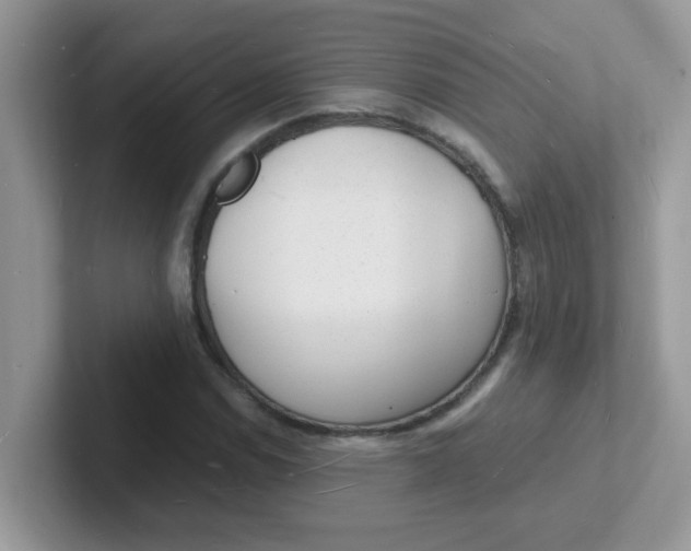 X0000101481114200807281034