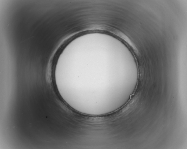 X0000101481116200807281034