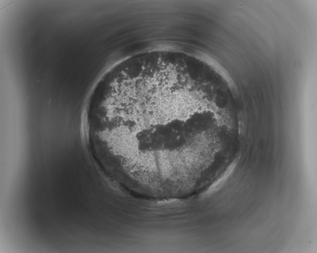 X0000101481117200807281034