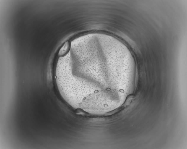 X0000101481118200807281034