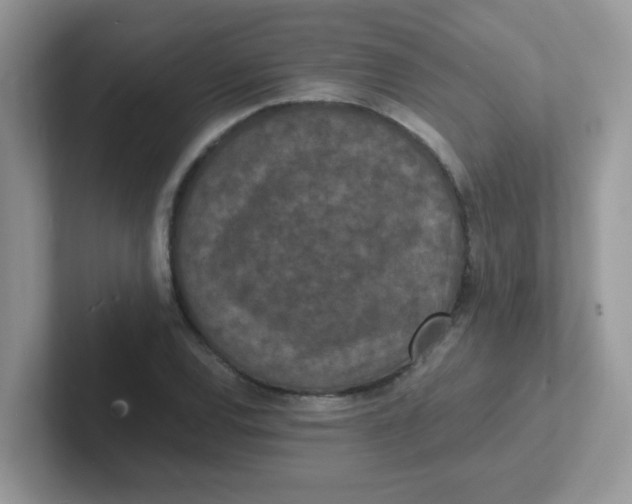 X0000101481120200807281034