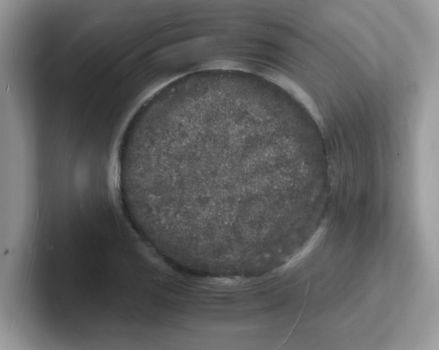 X0000101481125200807281034