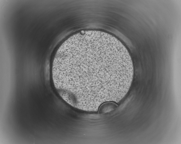 X0000101481126200807281034