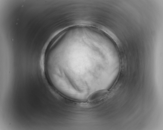 X0000101481128200807281034