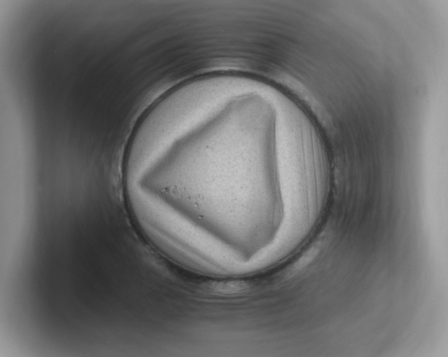 X0000101481129200807281034