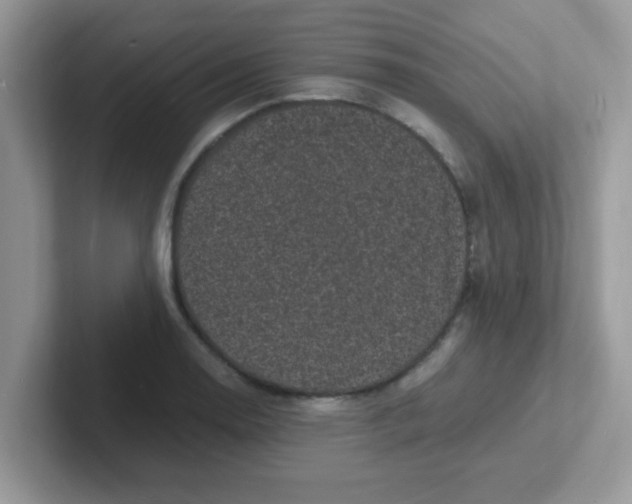 X0000101481130200807281034