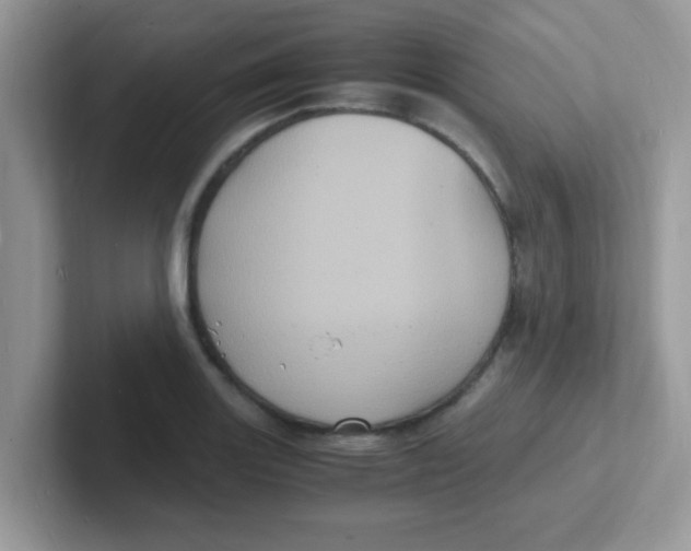 X0000101481131200807281034