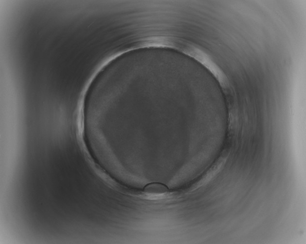 X0000101481132200807281034