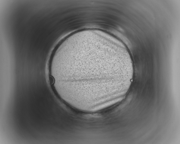 X0000101481133200807281034