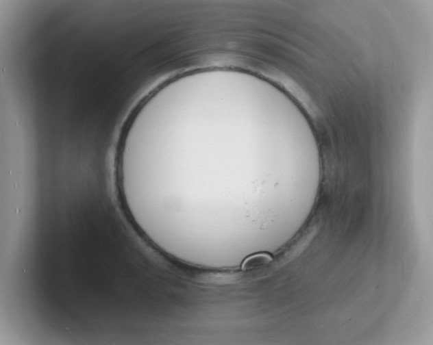 X0000101481134200807281034