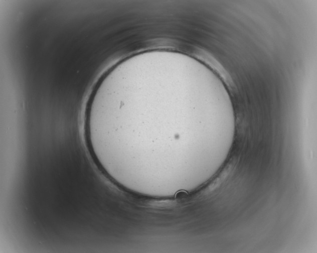 X0000101481135200807281034