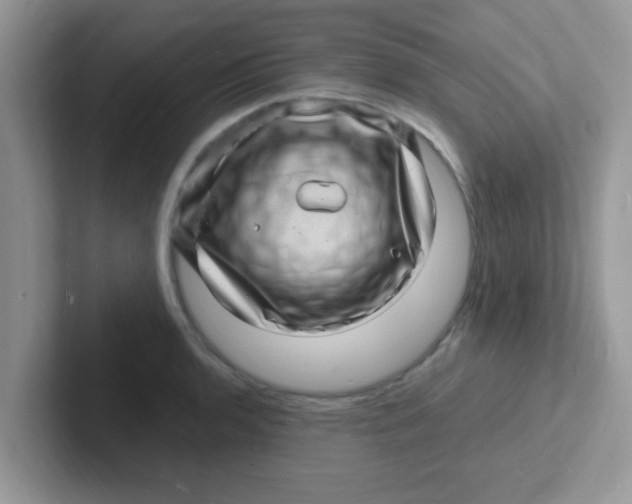 X0000101481136200807281034