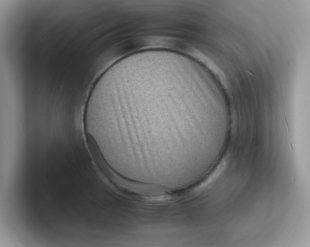 X0000101481137200807281034