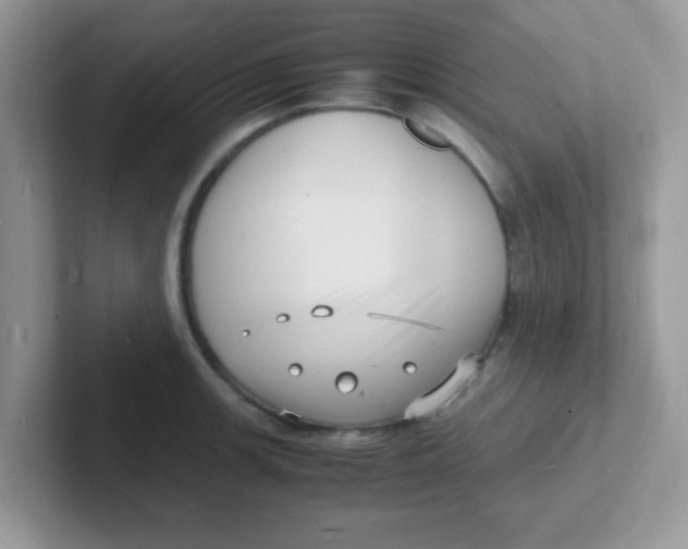 X0000101481139200807281034