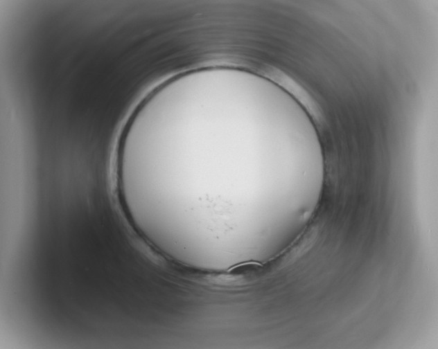 X0000101481140200807281034