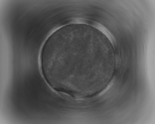 X0000101481141200807281034