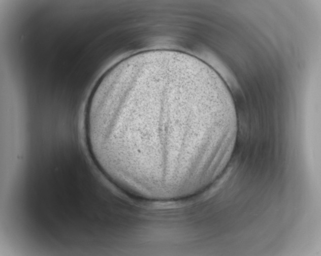 X0000101481142200807281034