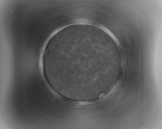 X0000101481144200807281034