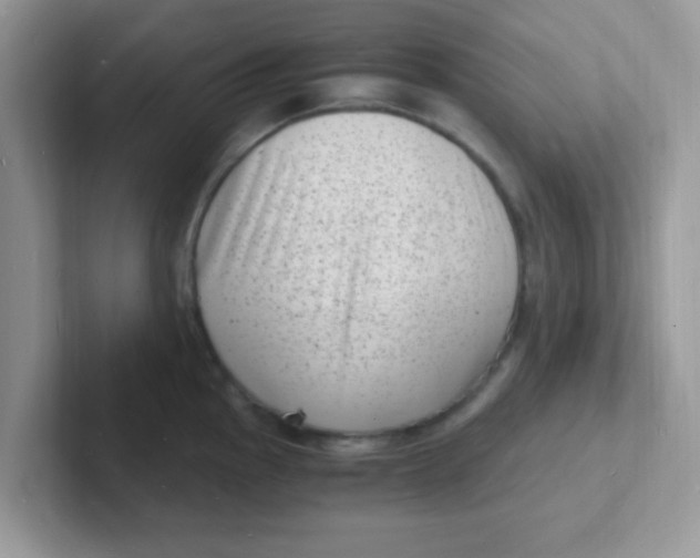 X0000101481145200807281034