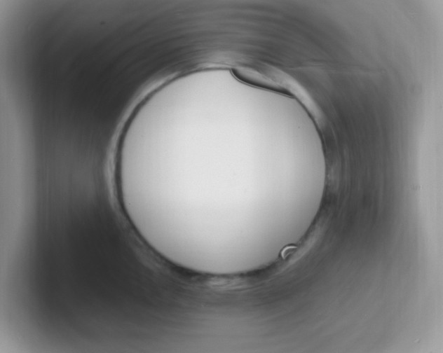 X0000101481146200807281034