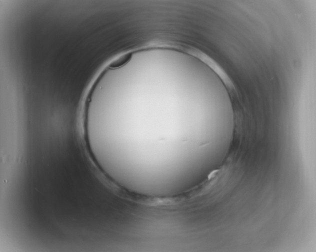 X0000101481148200807281034