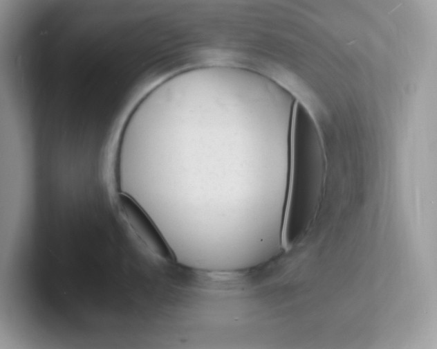 X0000101481152200807281034