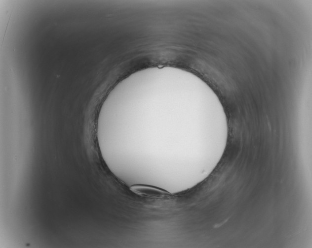 X0000101481153200807281034