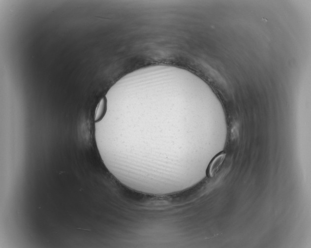 X0000101481156200807281034