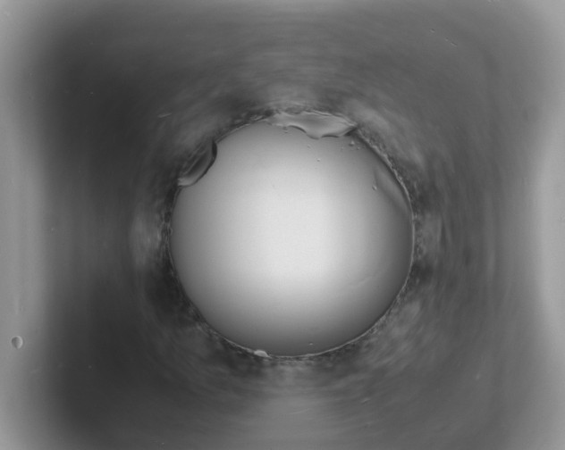 X0000101481157200807281034