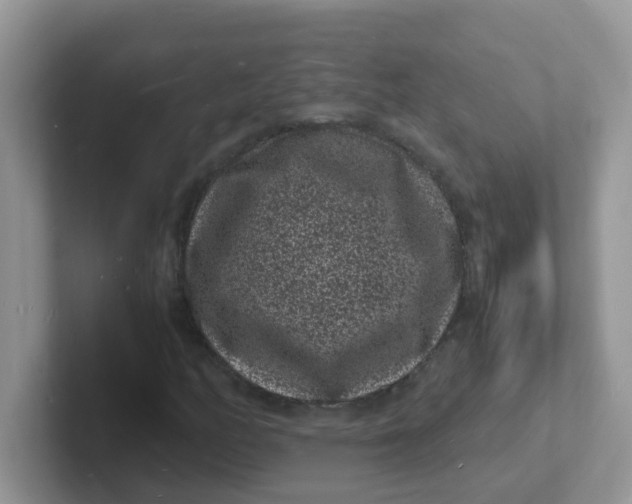 X0000101481158200807281034