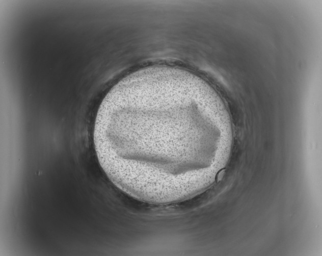 X0000101481159200807281034