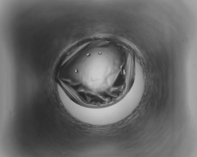 X0000101481160200807281034